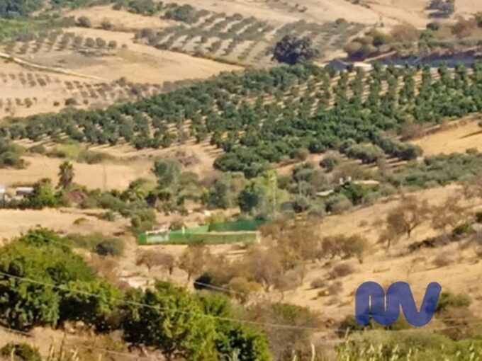 Foto1 - terreno en Alhaurín de la Torre - MALAGA VIVIENDAS