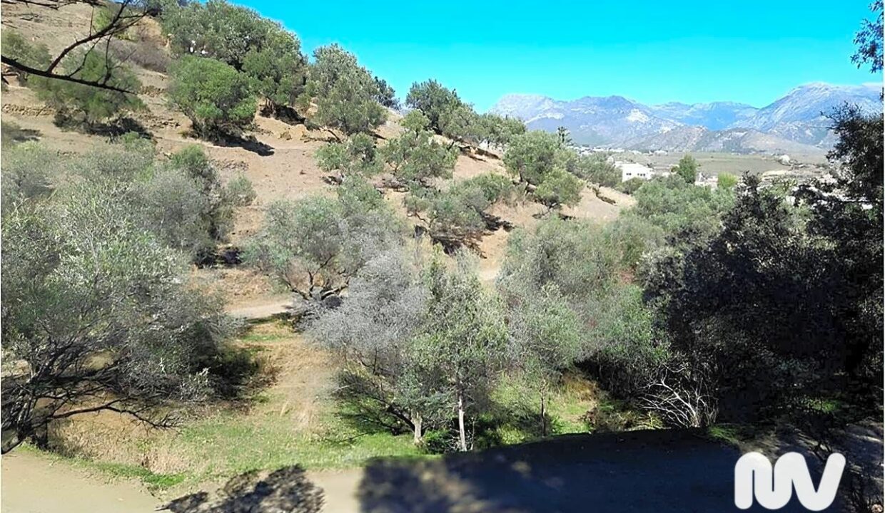 Foto12 - terreno en Nerja - MALAGA VIVIENDAS