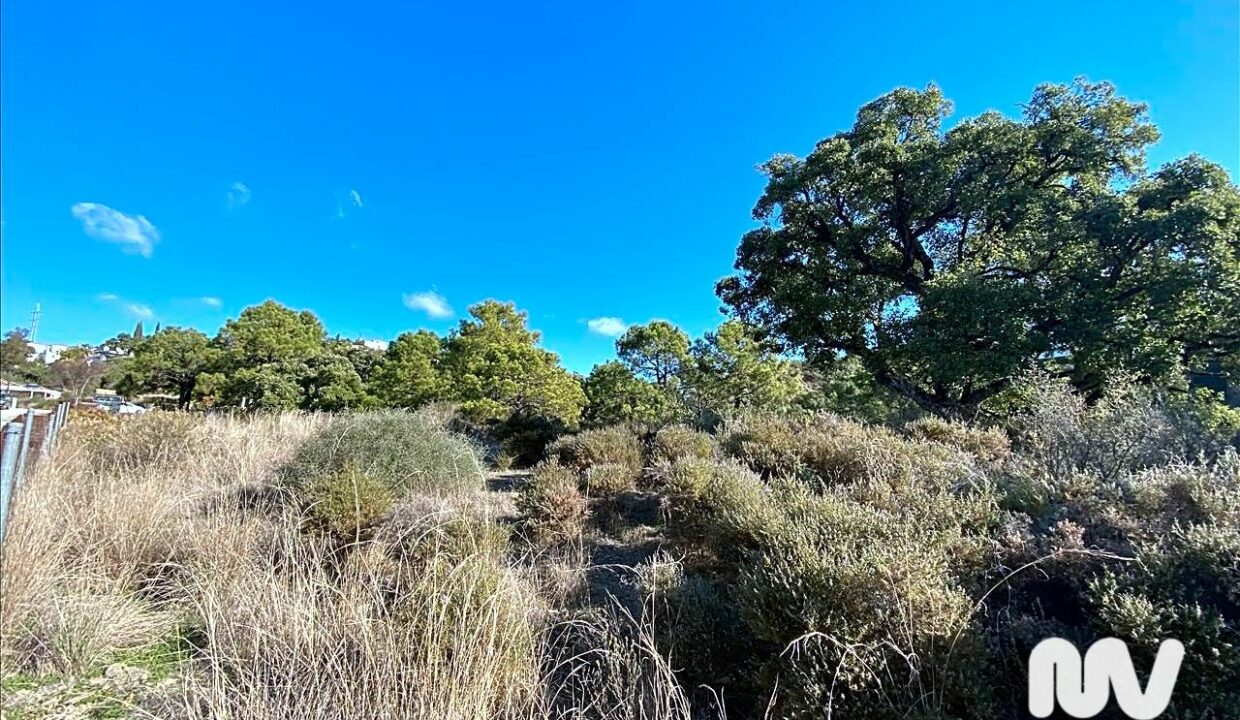 Foto4 - terreno en Estepona - MALAGA VIVIENDAS